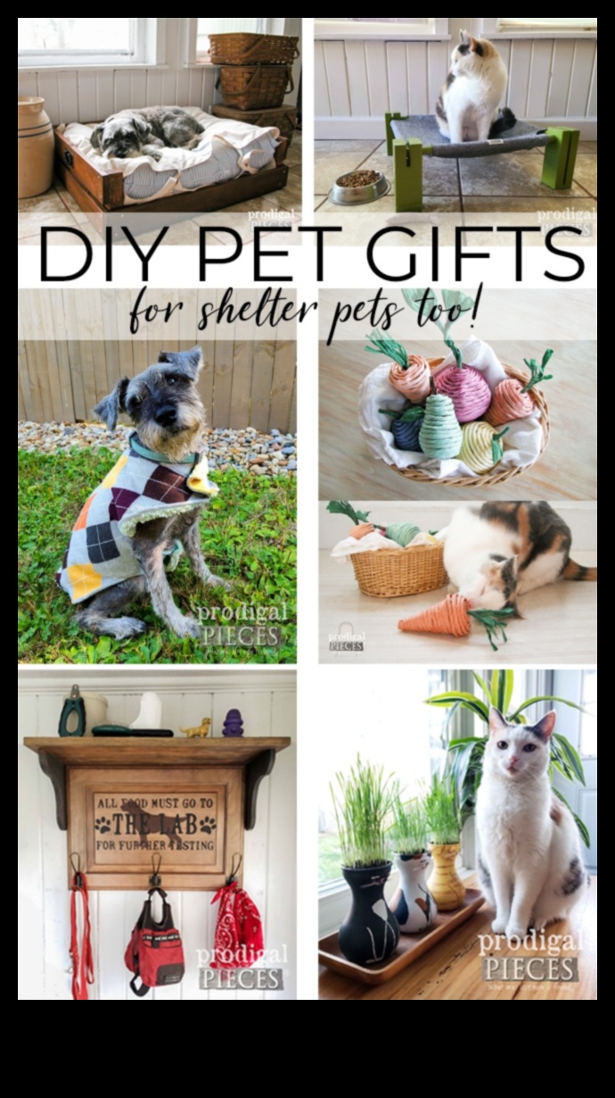 DIY Gifts for Pet Lovers: Handmade Treats for Furry Friends