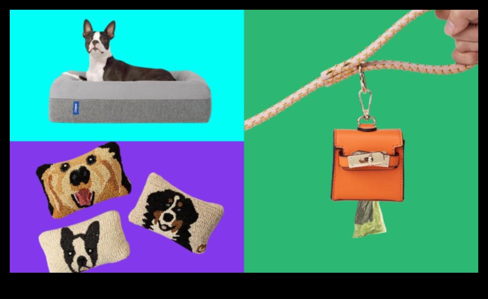 DIY Gifts for Pet Lovers: Handmade Treats for Furry Friends