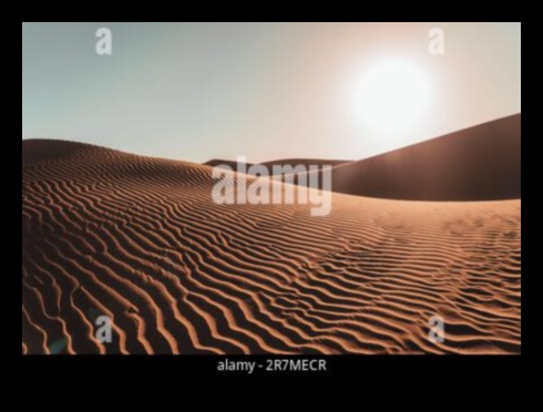 Desert Dreams: Sand Dunes and Endless Horizons