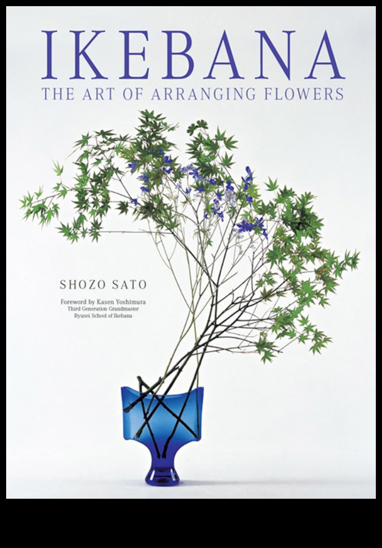 Τεχνικές χειροτεχνίας για σχέδιο λουλουδιών: Τακτοποίηση ανθοφοριών με στυλ