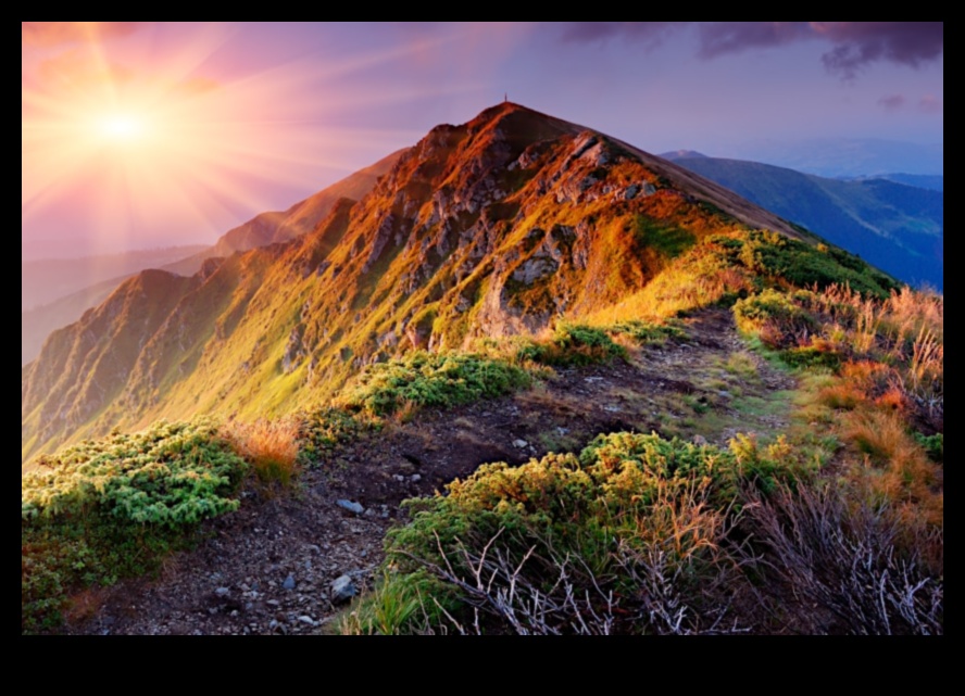 Ανακαλύψτε τις εμπνευσμένες φωτογραφίες τοπίων της Παλέτας της Γης 5 Ανακαλύψτε την Παλέτα της Γης: Εμπνευσμένες Φωτογραφίες Τοπίου