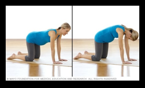 Ανυψώστε και τεντώστε: Προπονήσεις εγκυμοσύνης για ισχυρή βάση