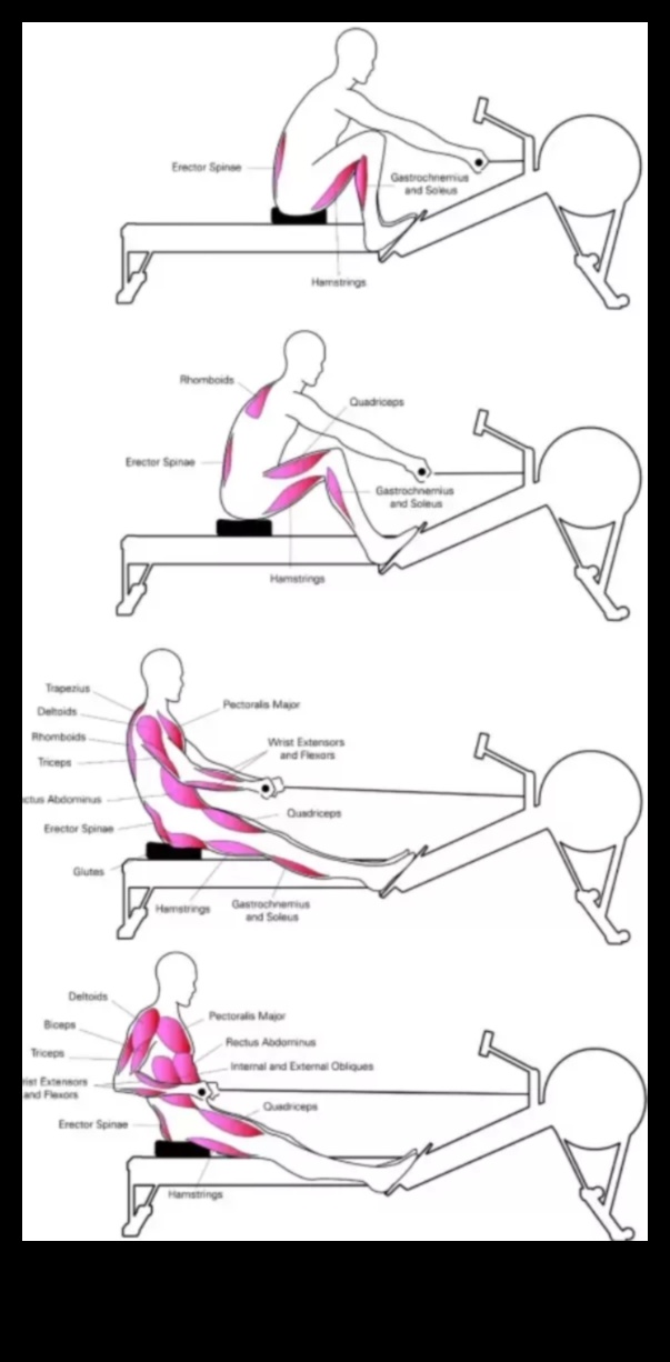 Σειρά προς τα αποτελέσματα: Ο αντίκτυπος της κωπηλασίας στη διαχείριση βάρους