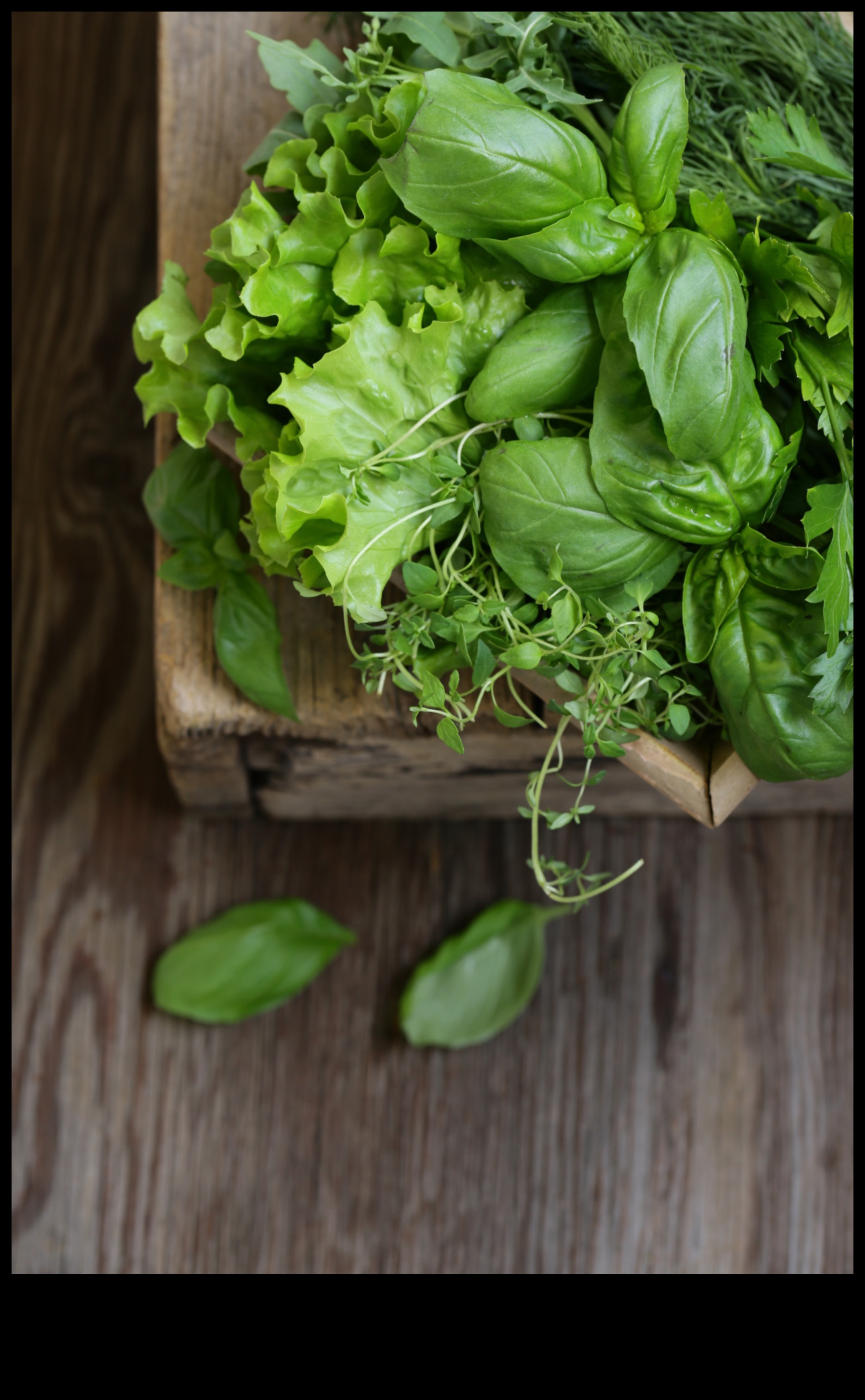 Green Gastronomy: Unleashing the Delights of Vegetarian Living