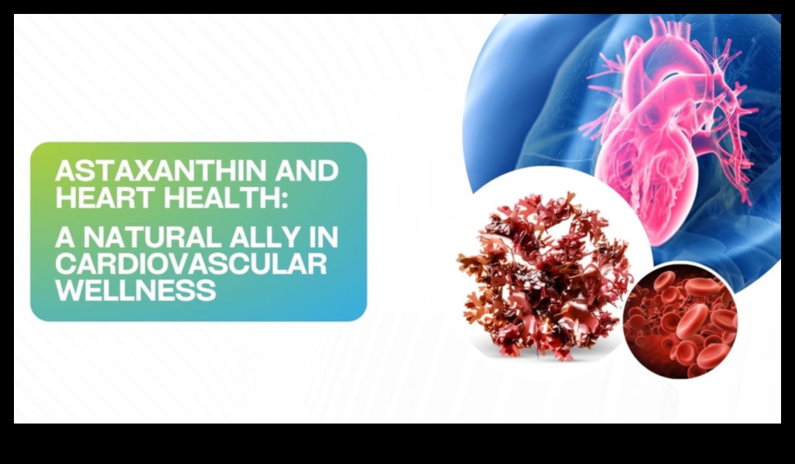 Heart Health Horizons: Ανακαλύπτοντας την ευεξία μέσω του Cardio