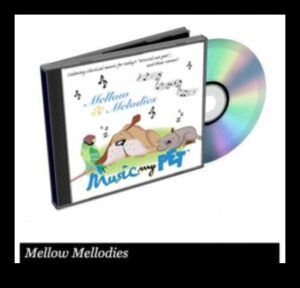 Melodic Moments: Capturing the Baby's Heart with Harmony