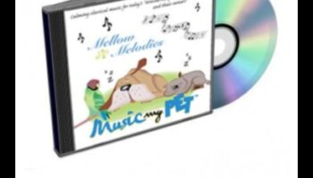 Melodic Moments: Capturing the Baby's Heart with Harmony