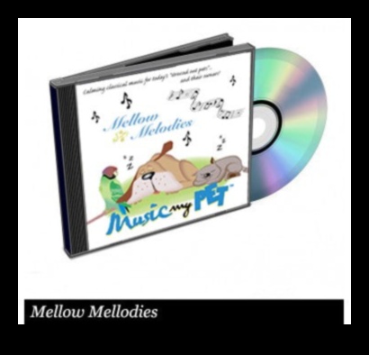 Melodic Moments: Capturing the Baby's Heart with Harmony