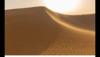 Desert Dreams: Sand Dunes and Endless Horizons