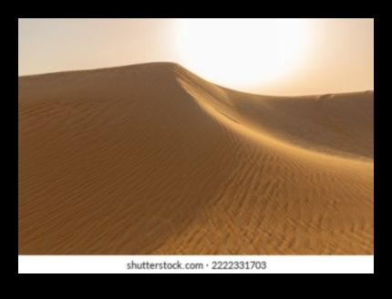 Desert Dreams: Sand Dunes and Endless Horizons