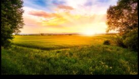 Sunrise Μια πληροφορίες έναρξη 2 Sunrise Serenity: Morning Light σε φυσικά περιβάλλοντα