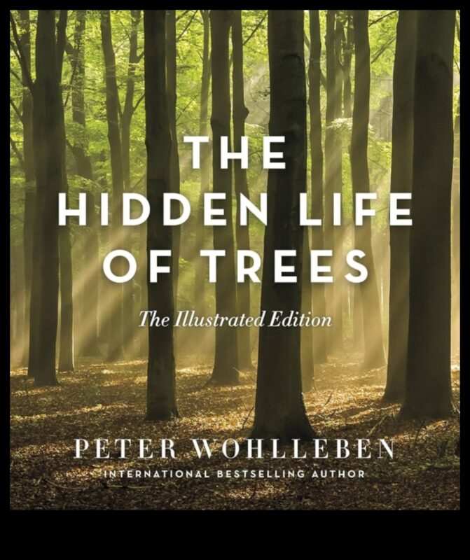 Mystical Woodlands II: Forest Scenes and their Everlasting Enchantments