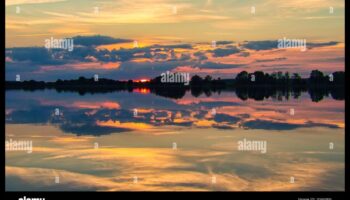Mirror of Tranquility: Lakes and Ponds in Different Perspectives
