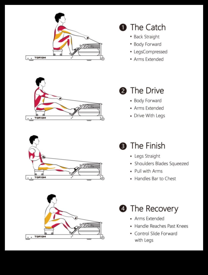 Σειρά προς τα αποτελέσματα: Ο αντίκτυπος της κωπηλασίας στη διαχείριση βάρους